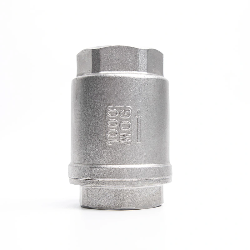 Stainless Steel Spring Vertikal Check Valve